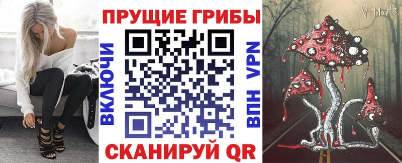Галлюциногенные грибы GOLDEN TEACHER  Северобайкальск 